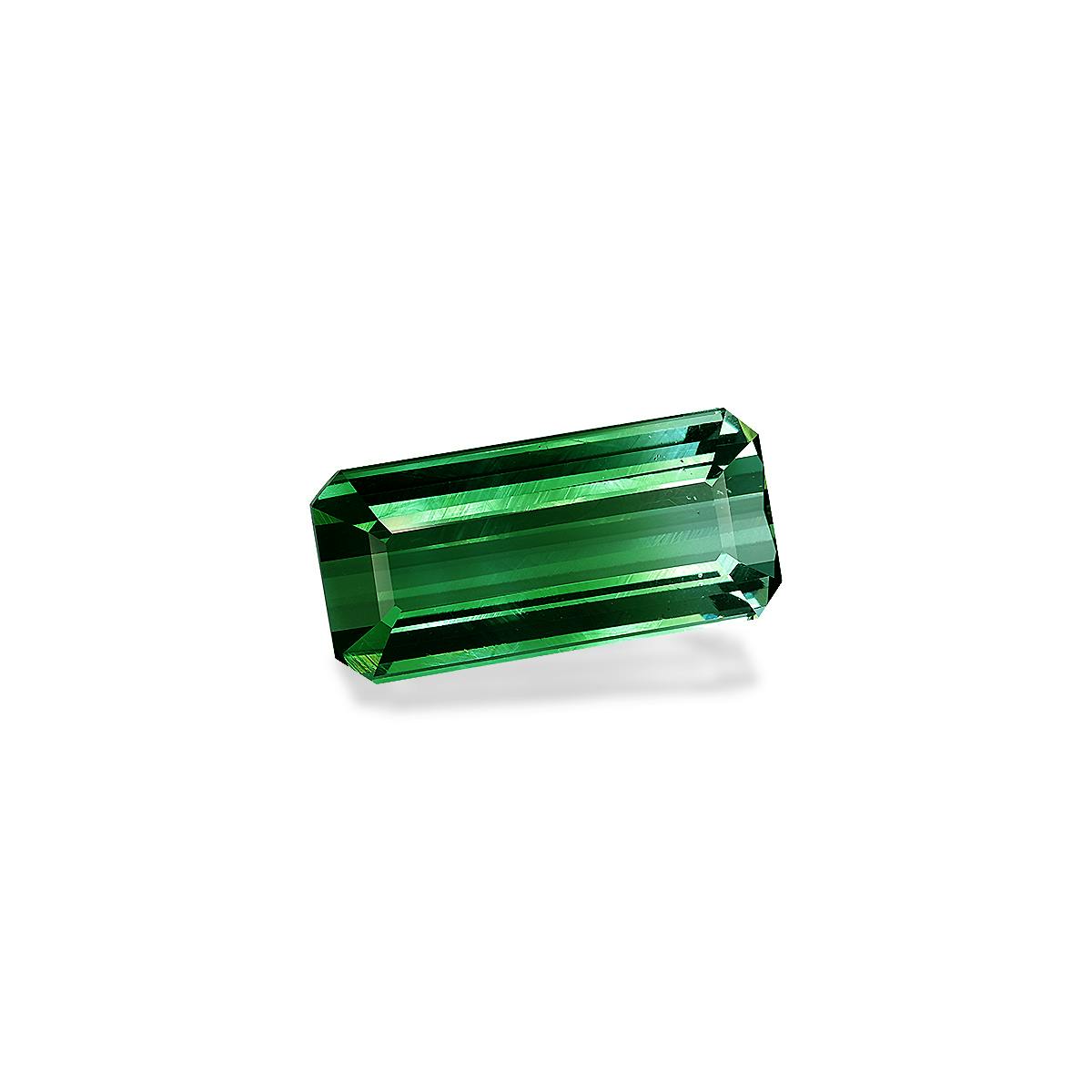 Bi Colour Tourmaline 33.12 ct